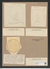 Stictodiscus nankoorensis Grun. (de-Toni-Nr.: Genus 205, Species 5227) Zeichnungen Sammlung Grunow Nr. 9023 (NHMW-BOT-W0378736)